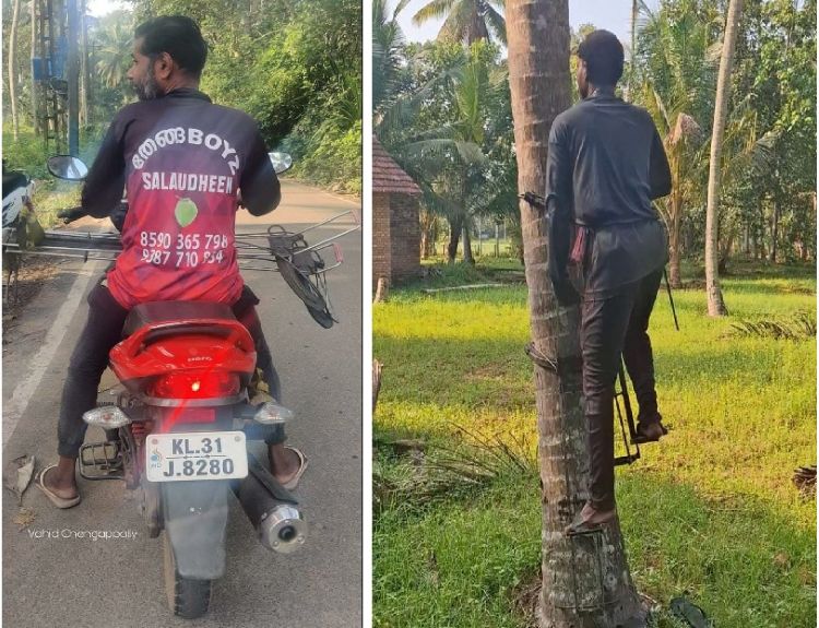 ഓര്‍മ്മച്ചെപ്പ്:  ചെല്ലപ്പന്‍ മൂപ്പരും ന്യുജന്‍ തേങ്ങാ ബോയ്‌സും