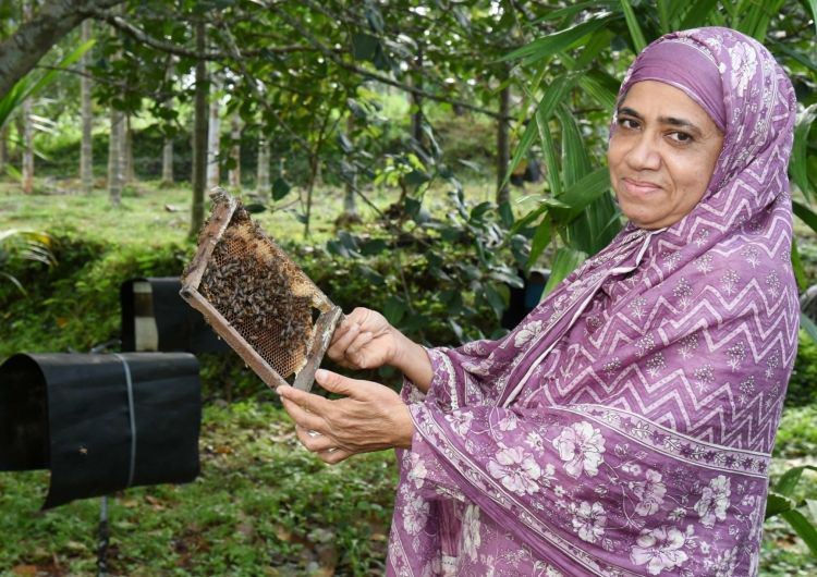 സൗദി താഴ്‌വരയുടെ പേരായ പെരിന്തല്‍മണ്ണയിലെ 'തുവ ഫാം'ല്‍ സമ്മിശ്ര കൃഷിയില്‍ വിജയം കൊയ്ത് ഖദീജ