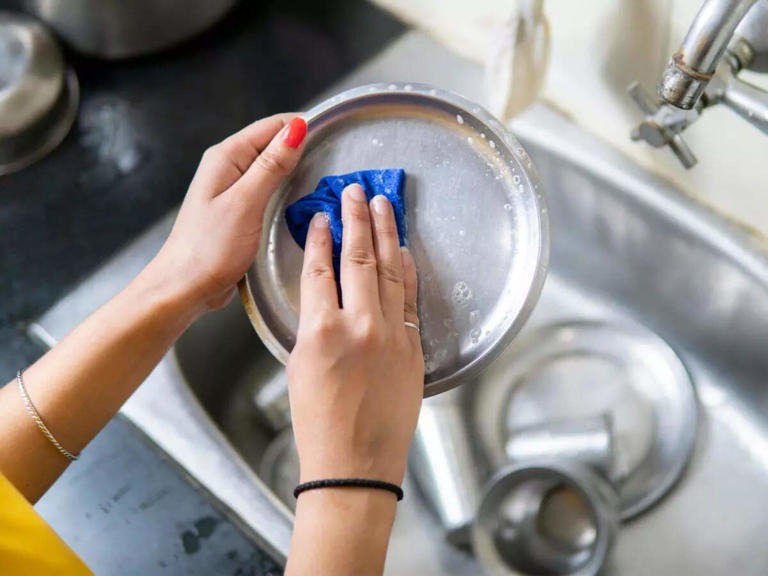 60 ലക്ഷത്തിന്റെ ഫ്‌ളാറ്റ് സ്വന്തമാക്കി വീട്ടുജോലിക്കാരി; 10 ലക്ഷം രൂപ മാത്രം ലോണ്‍, അമ്പരന്ന് വീട്ടുടമ; പ്രചോദനമായി സോഷ്യല്‍ മീഡിയ