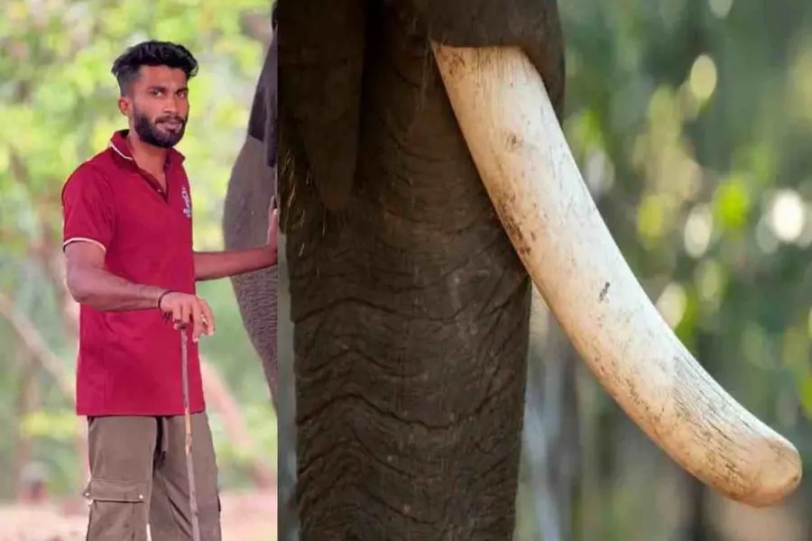 കുളിപ്പിക്കുന്നതിനിടെ ആനയുടെ ചവിട്ടേറ്റ് പാപ്പാന്‍ മരിച്ചു